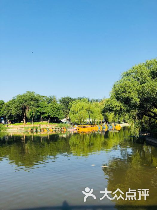 青年湖公園-圖片-北京周邊遊-大眾點評網