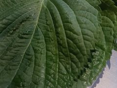 -合易泓烤肉•首创生椰大油边(宁山路店)