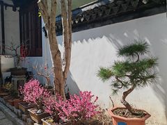 -秋霞圃