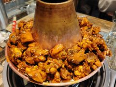 -刘记光大火锅鸡(北行店)