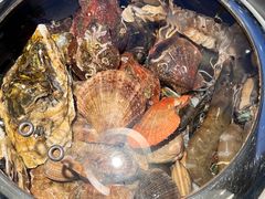 -大锅强·蒸海鲜青岛菜(金沙滩店)