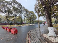 -四川大学(望江校区)