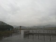 -福建土楼（华安）旅游区•大地土楼群