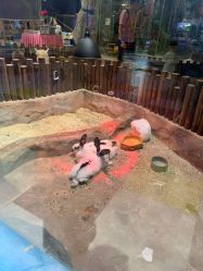 -宝燕乐园(闵行旗舰店)