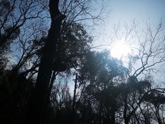 -法云古村