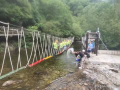 -牛背梁国家森林公园