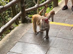 -吃饭皇帝大·土家民族菜(武陵源店)