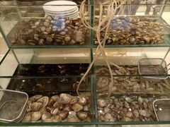 -元一希尔顿酒店·禅自助餐厅·啤酒花园
