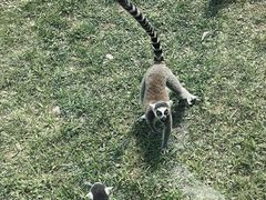 -秦皇岛野生动物园