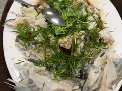 清蒸石斑-师傅仔美食(东华老店)