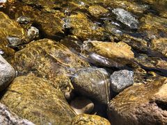 -青峰峡国家森林公园