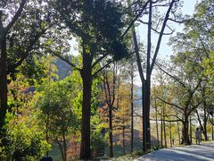 -广州市白云山风景名胜区