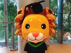 -香港大学