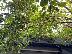 -秋果四合院酒店(北京王府井协和医院店)