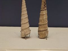 -天津自然博物馆