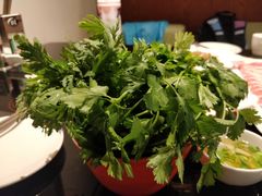 茼蒿香菜-食鲜捞火锅(湖西路店)