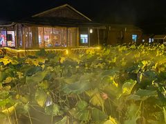 -军山湖云水间生态农业旅游景区