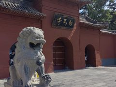 -洛阳白马寺