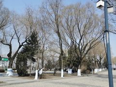 -人民防洪胜利纪念塔