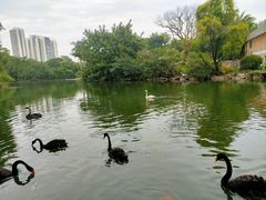 -南宁市动物园