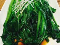 白灼广东菜心-粤港餐厅(禹州商业广场店)