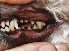 -乐琪宠物(青塔西路店)