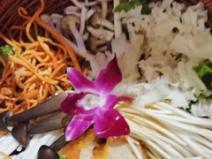 -云尊府云南菜·蒸汽石锅鱼(学清路店)