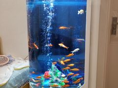 -e城e家家政(怀柔店)