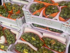 -双福水果批发市场