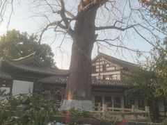 -常熟方塔园