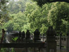 -南山植物园
