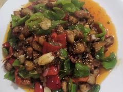 -煲来饱去冷水鱼