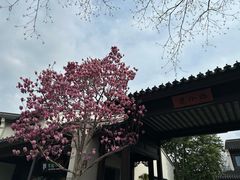 -雅达·阳羡溪山小镇中心