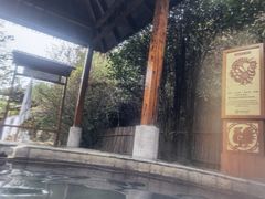 -庐山西海国际温泉度假村
