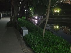 -晓港公园