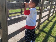 -前小桔亲子创意农场·草莓采摘·露营烧烤