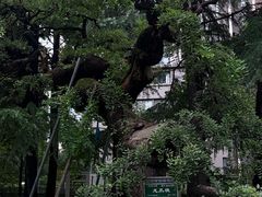 -木塔寺遗址生态公园