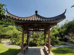-广州神农草堂中医药博物馆