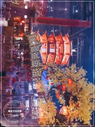 -南京万达乐园