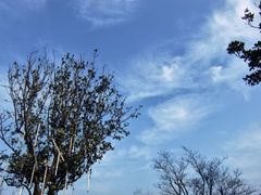 iphone_upload_pic-天目湖涵田度假村