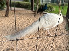 -天目湖涵田度假村