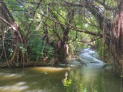 -燕晗山郊野公园