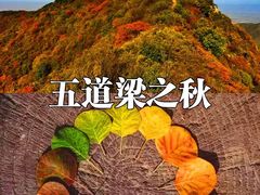 -秦岭风景区