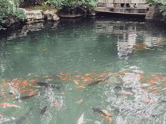 -趵突泉景区