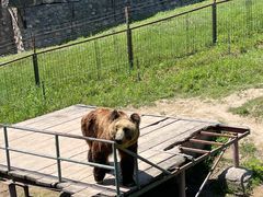 -宿豫区运河湾森林动物园