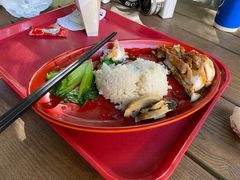 -Tangled Tree Tavern 老藤树食栈