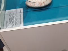 -青岛贝壳博物馆