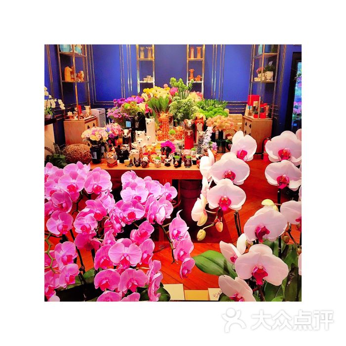 cloris floral(官舍店)图片 - 第148张