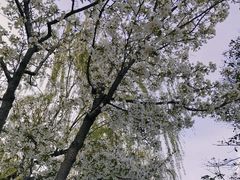 -堤角公园