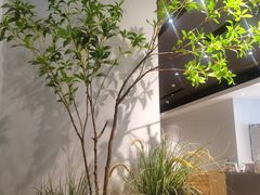 -Seesaw Coffee(深圳深业上城店)